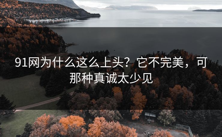 91网为什么这么上头？它不完美，可那种真诚太少见  第1张