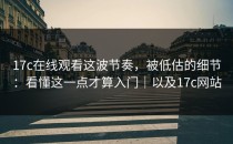 17c在线观看这波节奏，被低估的细节：看懂这一点才算入门｜以及17c网站