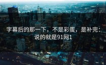 字幕后的那一下，不是彩蛋，是补完：说的就是91网1