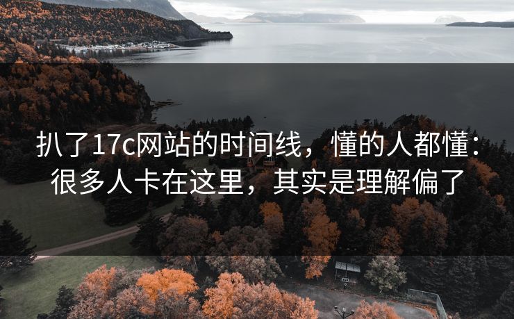扒了17c网站的时间线，懂的人都懂：很多人卡在这里，其实是理解偏了