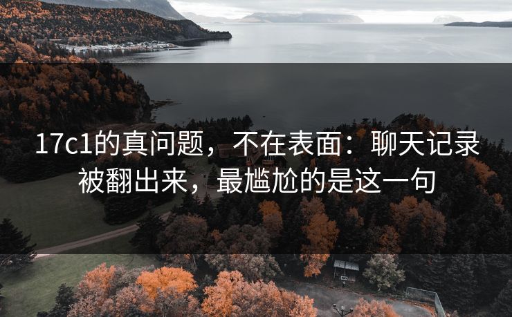 17c1的真问题,不在表面:聊天记录被翻出来,最尴尬的是这一句 第1张 17c1的真问题,不在表面:聊天记录被翻出来,最尴尬的是这一句 第1张